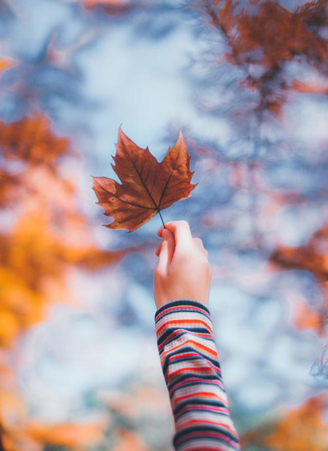 成长中最难忘的事作文